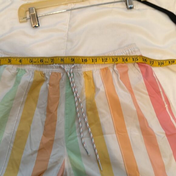 Chubbies Abstract Pastel Vertical Stripe Swim Shorts Trunks Men’s, Size XL, 5.5” - Picture 9 of 11